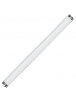 Florescent Tubes - Bulbs & Tubes - Lighting & Electrical - Shop By 